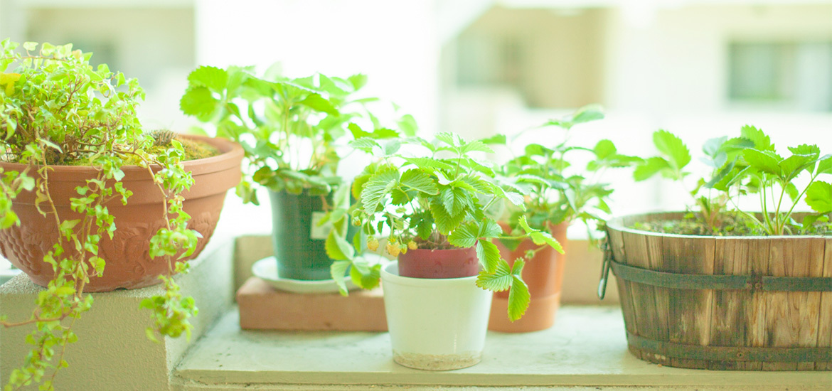 大阪市生野区勝山南、桃谷駅、内科 整形外科